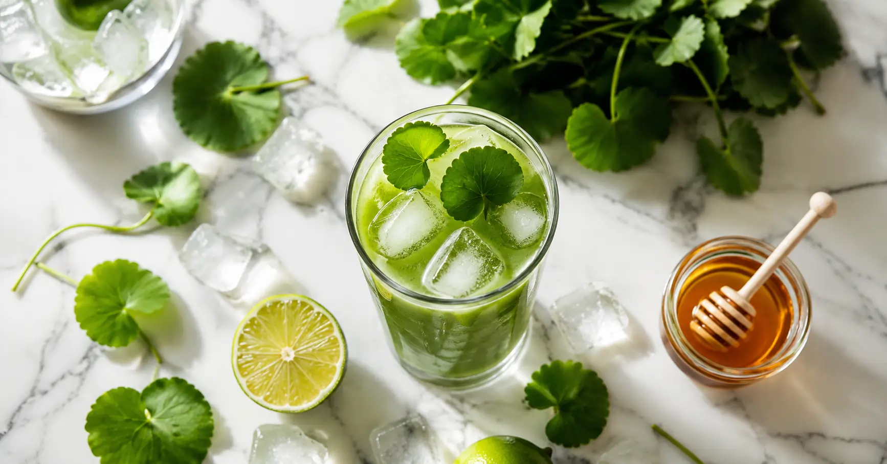 Pennywort Juice Recipe